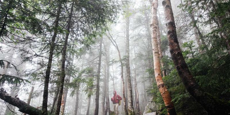 安徽美盛会员体系全解析：积分、沙龙与定制服务如何打造客户忠诚度