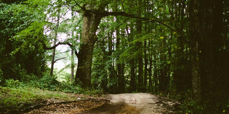 安徽美盛：本土化妆品品牌的崛起密码与核心竞争力解析